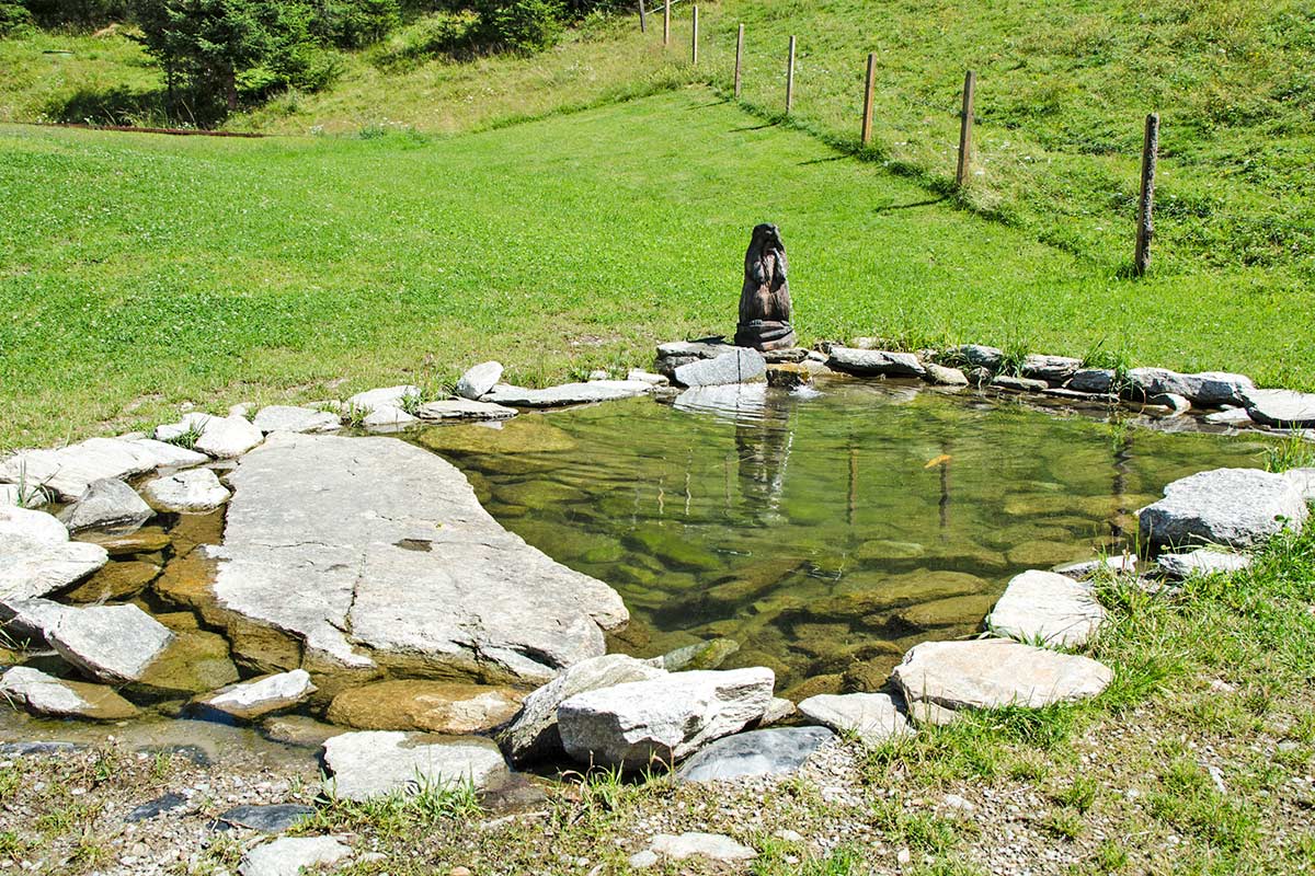 wasser Wasser am Graukogel